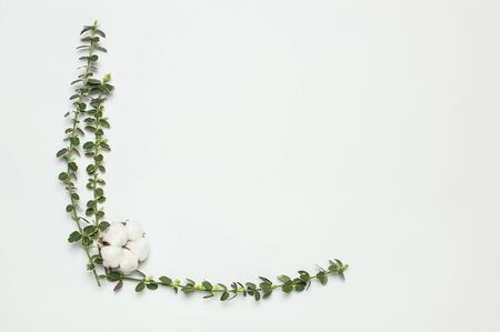Frame with spring green twigs of plants and cotton flower on gray background top view flat lay copy space. Decorative plant branch, rustic background, flowers composition. Minimalistic style.の写真素材