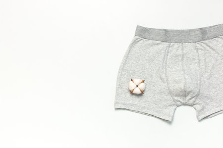 Men's underwear, gray underpants and cotton flowers on white background flat lay top view copy space. Fashion blog, natural underwear, advertising, shopping concept. Pants boxers.の写真素材