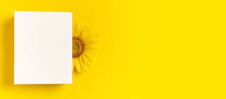 Beautiful fresh sunflower and white gift paper bag on yellow background. Flat lay, top view, copy space. Autumn or summer Concept, harvest time, agriculture. Sunflower natural background. Flower card.の写真素材