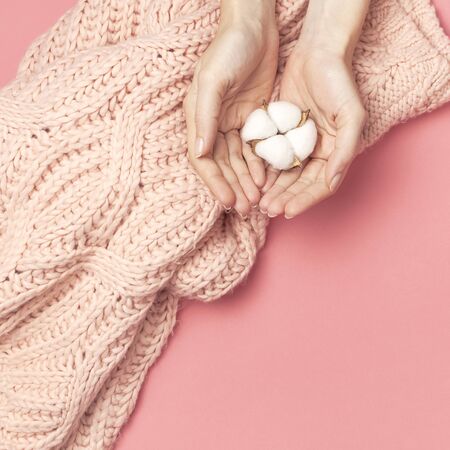 Creative composition with cotton. Hands of young woman holding white cotton flowers on pink background. Top view flat lay copy space. Cotton flowers. Lifestyle gentle background.の写真素材