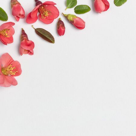 Springtime concept. Flat lay pink spring flowers on light gray background top view Copy Space. Summer bouquet lifestyle. Greeting card with delicate flowers floral background.の写真素材
