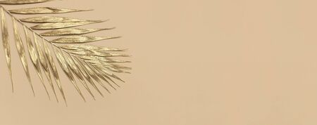 Gold colored tropical palm leaves on beige background flat lay top view copy space. Creative summer background with tropical leaves. Golden background, minimal nature concept.の写真素材