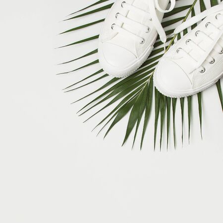 White female fashion sneakers, tropical leaves on light gray background. Flat lay top view copy space. Women's shoes, accessories. Stylish white sneakers. Creative summer concept.の写真素材