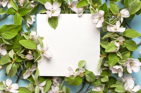 Creative spring minimal concept. Beautiful blooming spring twigs, white blank paper on blue background flat lay top view. Springtime concept flowers composition bloom white flowers. Layout for design.の写真素材