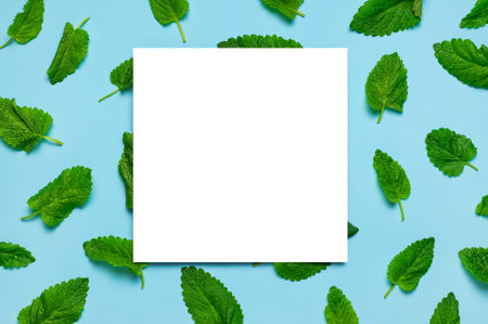 Fresh green leaves of mint, lemon balm, peppermint and white blank paper on blue background top...