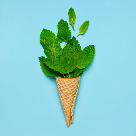 Fresh green leaves of mint, lemon balm, peppermint in a waffle cone on blue background top view....