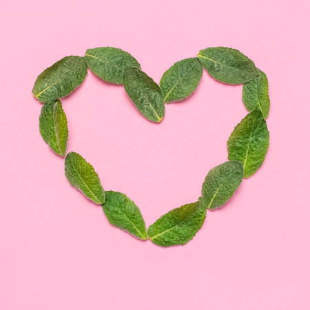 Fresh green leaves of mint, lemon balm, peppermint in the shape of heart on pink background top...