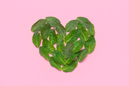 Fresh green leaves of mint, lemon balm, peppermint in the shape of heart on pink background top...