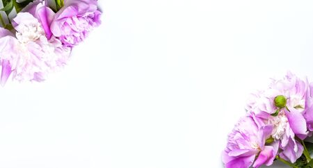 Frame of pink peonies flowers on light background top view flat lay copy space. Peonies flower petals, beautiful floral wallpaper. Holiday floral card for mother's day, March 8, Women's Day.の写真素材