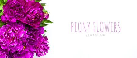 Natural floral background. Bouquet of pink purple peonies flowers. Peonies flower petals, beautiful floral wallpaper. Flower texture. Abstract floral blooming background. Holiday floral card.の写真素材