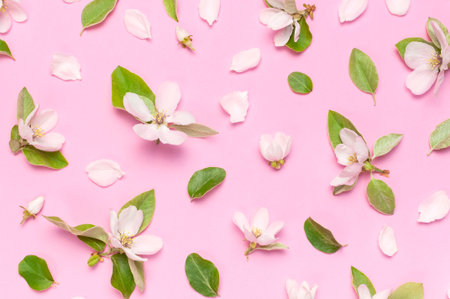 Spring nature background. Beautiful blooming spring flowers with green leaves on pink background flat lay top view. Springtime concept, flowers composition, bloom delicate flowers. Flower pattern.の写真素材