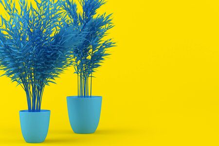 Layout of blue tinted palm tree in blue pot on yellow background. Creative background with palm tree. Home plant, indoor flower. Tropical plant. 3d illustration. Decorative palm tree pattern.の写真素材