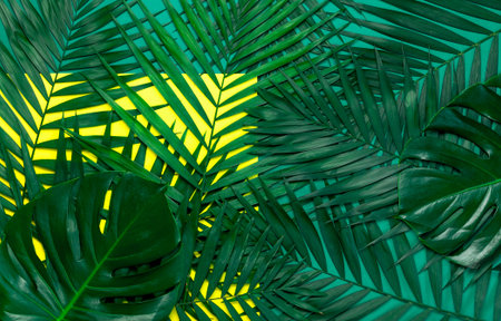 Tropical palm leaves and monstera leaf on pastel yellow green background. Flat lay, top view, copy...