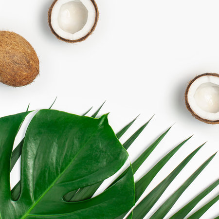 Tropical leaves and fresh coconut on white background. Flat lay, top view, copy space. Summer...