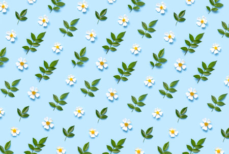 Pattern of Beautiful spring white flowers green leaves on blue background flat lay top view. spring nature background. Springtime summer concept flowers composition postcard bloom delicate flowers.の写真素材
