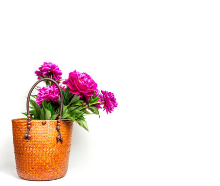 Wicker straw or rattan women's eco bag with beautiful pink peonies flowers on white background copy space. Female fashion accessory with peonies, spring summer concept, card with flowers.の写真素材