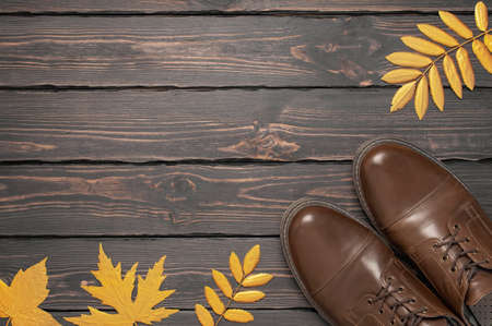Brown classic leather mens shoes and autumn golden leaves on dark wooden background top view. Autumn Fashion Concept. Fashionable male footwear. Cozy fall composition. Sale, shoe advertising.の写真素材