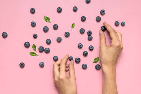 Fresh juicy blueberries with green leaves and female hands on pink background. Blueberries background. Flat lay top view. Healthy berry, organic food, antioxidant vitamin blue food. Blueberry patternの写真素材