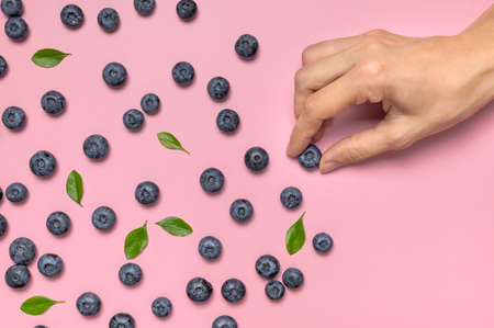 Fresh juicy blueberries with green leaves and female hands on pink background. Blueberries background. Flat lay top view. Healthy berry, organic food, antioxidant vitamin blue food. Blueberry patternの写真素材