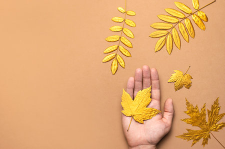 Male hands hold golden autumn leaves on brown beige background top view copy space. Autumn minimalistic concept, Fall. Autumn background. Minimal floral design, Autumn composition. Golden twigの写真素材