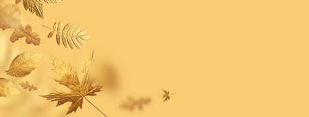 Golden flying autumn leaves of different shapes on beige yellow background. Autumn concept, fall background. Minimal floral design, autumn leaf frame. Golden twig. Autumn creative compositionの写真素材