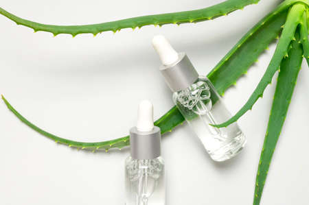 natural cosmetics concept. Cosmetic oil, serum, gel with aloe vera extract in glass container with pipette on gray background. organic cosmetics. Top view flat lay. Cosmetics SPA branding mock-up.の写真素材