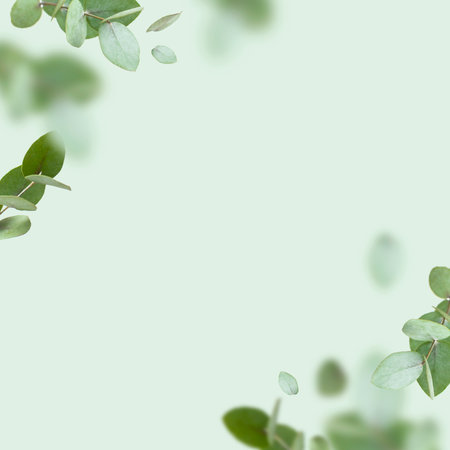 Flying fresh green branches of eucalyptus on light green background. Flat lay, top view, mock up. Nature eucalyptus leaves background. Eucalyptus branches pattern. Floral frame, layout for design.の写真素材