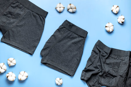 Men's underwear, gray underpants and cotton flowers on blue background. Natural fabric concept, eco style. Flat lay top view copy space. Fashion underwear, advertising, shopping. Pants boxers.の写真素材