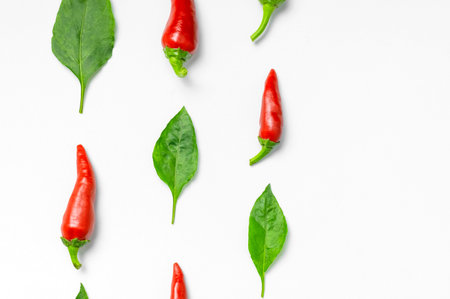 Hot red and green fresh chili peppers, green leaves on white background flat lay top view. Seasoning...
