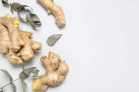 Fresh ginger root, eucalyptus branches on gray background top view flat lay. Spice for cooking, herbal tea with ginger to boost immunity. Natural organic ginger for health, medicine, protection colds.の写真素材