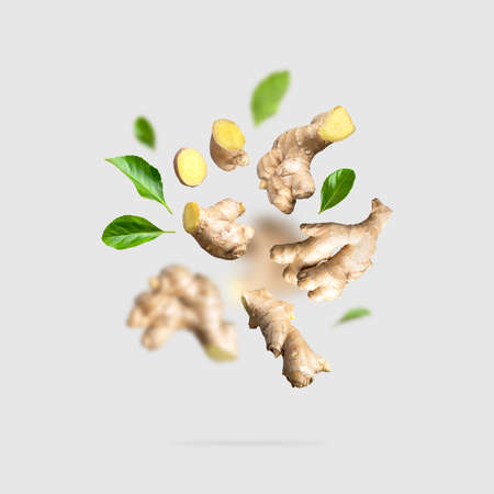 Flying fresh ginger root, green leaves isolated on gray background. creative food concept. Natural organic ginger for health, medicine, protection against colds. Spice for cooking, ginger to immunity.の写真素材