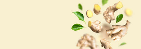 Flying fresh ginger root, green leaves isolated on beige background. creative food concept. Natural organic ginger for health, medicine, protection against colds. Spice for cooking, ginger to immunity.の写真素材