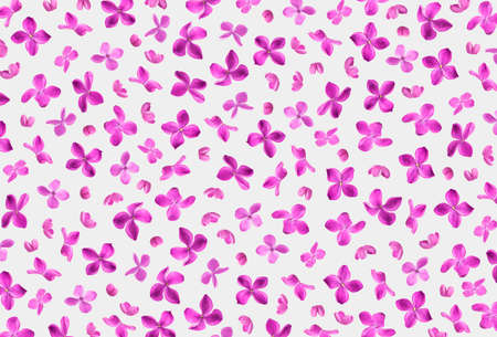 floral pattern. Purple lilac flowers isolated on light background. Creative floral background, elements for design, postcards, congratulations. spring concept.の写真素材