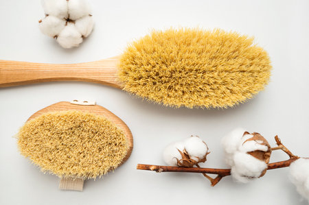 Wooden body massage brushes with natural bristles, cotton flower branch on gray background. Organic accessories for health and beauty. Spa products, Zero waste cosmetics. Flat lay top view.の写真素材