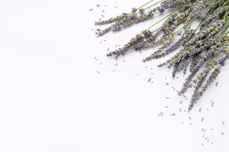 Lavender flowers on white background flat lay top view. Bouquet of lavender minimal concept....