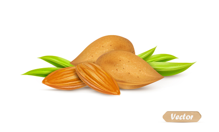 Almonds with kernels and leaves isolated on white background. Vector illustration.のイラスト素材