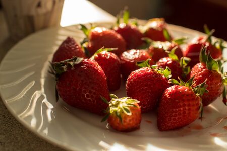 Berries, strawberriesの写真素材