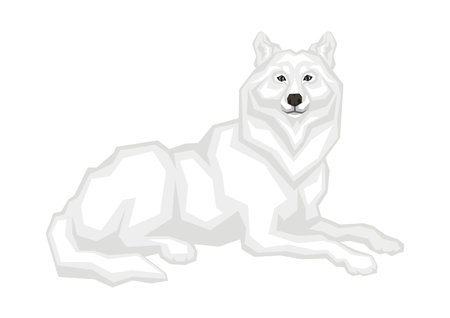 The big Arctic wolf. Vector image of a predatory animal. Isolated on a white background.のイラスト素材