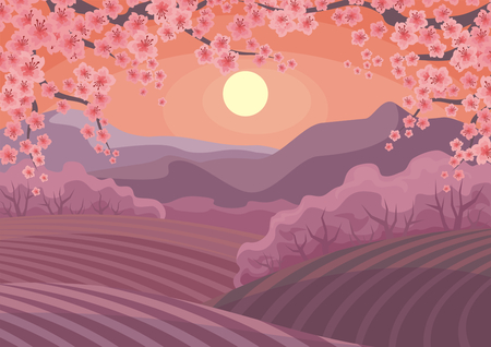 Beautiful spring landscape with the blossoming Oriental cherry. Vector background.のイラスト素材