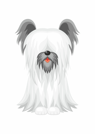 Vector image of a cute purebred dogs in cartoon style.のイラスト素材