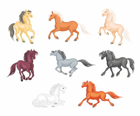 The realistic images of a beautiful horses on a white background.のイラスト素材
