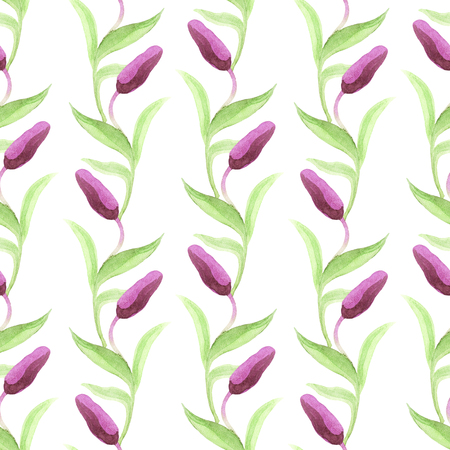 Seamless pattern with Kamchatka lily on a white background. Northern wild flower. Watercolor painting.の写真素材