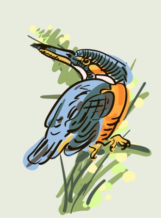  Vector drawing of the birdのイラスト素材