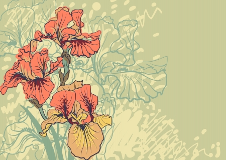 decorative designs of iris flowersの写真素材