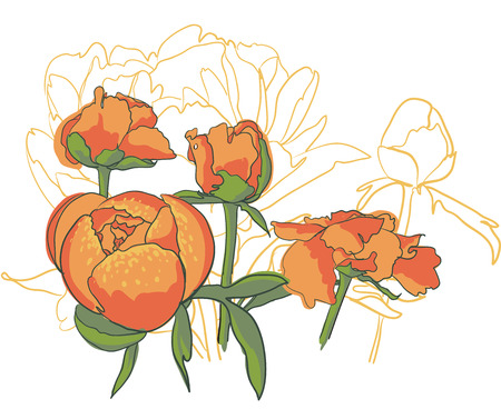 decorative image peony flowersの写真素材
