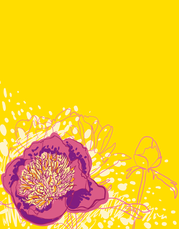 decorative image peony flowersの写真素材