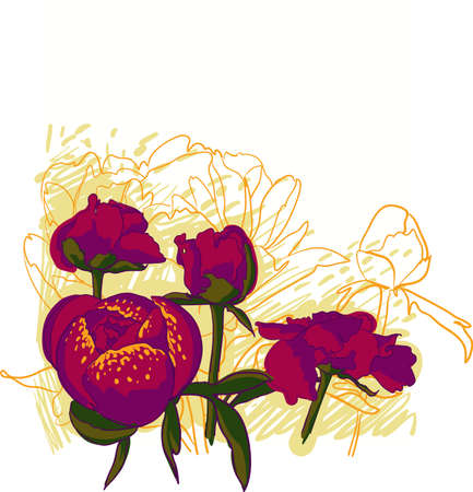 decorative image peony flowersの写真素材
