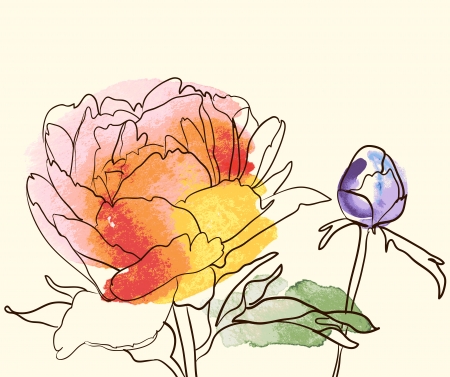 decorative image peony flowersの写真素材