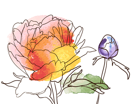 decorative image peony flowersの写真素材