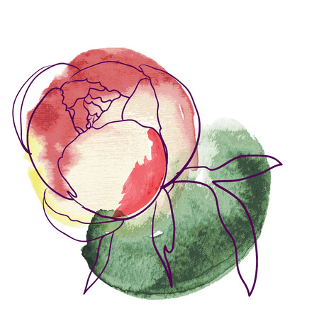 decorative image peony flowersの写真素材